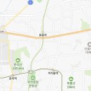 스타일독앤캣 강아지고양이 부천본점 이미지