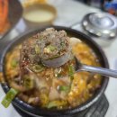 속초 아바이마을 맛집 고원 솔직후기! 속초오징어순대+명태식해 완벽했던 곳