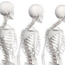 척척정형외과의원 이미지