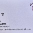 댕글라이프 이미지