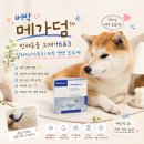 포이누 | 버박코리아 메가덤 먹이는 강아지 보습제 반려동물 오메가6&3 리뷰