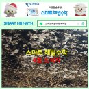 스마트해법수학 티스토리