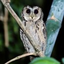 (주)네트로 이미지