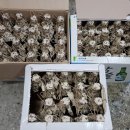 서호노인회관 이미지