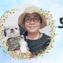 조영래농장 이미지