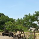씨앗등펜션