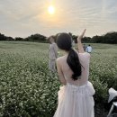 유(YOO)헤어 | W14. 제주 웨딩스냅, 꾸스냅 촬영 후기 (유작가님/샵바이이수)