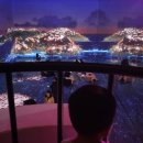 만성로2 | 여수여행 코스 여수 녹테마레 할인 종합권 후기