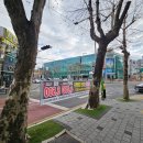 복현네거리 올리브영 앞 네이버블로그