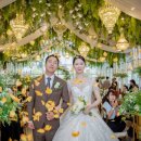 그레이스하우스 이미지