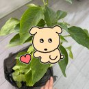 금강철물 이미지