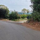 덕송민박 이미지