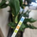 파동약국 | 일산 화정 수액전문 면역 컨디션 비타민C주사 맞고 왔어요