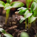 (주)케일 농업회사법인 이미지