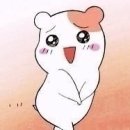 24시청주i동물병원 이미지