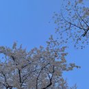 대공원역1번출구 이미지