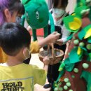 낙안초등학교 병설유치원 이미지