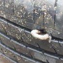 큰마을카센타 이미지