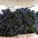 현대자동자써비스 이미지