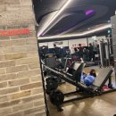 타이탄 짐 이미지