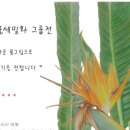 색연필 식물 세밀화 이미지