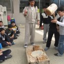 해림초교 이미지