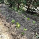 착한책방 스테이 이미지