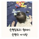 포포 아트앤플레이(18~30개월) | 은평구 아기랑 가볼만한 곳 은평구 은평짐보리 원데이 체험