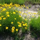 상계교 화장실 이미지