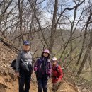 우면산3-18 이미지