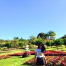 병기농장 이미지