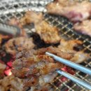 돼지야&닭 이미지