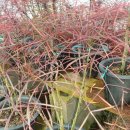 복이농장 이미지