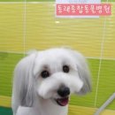 동래종합동물병원 이미지