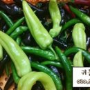 선화농장 이미지