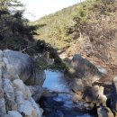 다들바위 치유농장 이미지