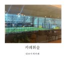 홍성 내포 이색카페 풋살장 뷰 카페휘슬 내돈내산 솔직후기