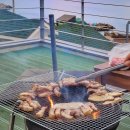 영덕바다펜션 | 영덕바다펜션 수영장이 있는 오션뷰 영덕하얀집펜션 후기