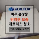 글림케어파주점 이미지