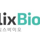 에스엠엘 뉴시스