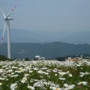 거창 별바람 언덕, 사계절 꽃피는 관광지로 변신 이미지