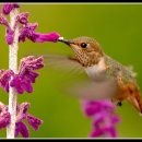 영진슈퍼 이미지