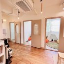 고양이 미용& 호텔 우연히, 캣 이미지