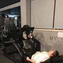 하이바디짐 이미지