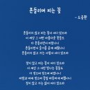 챈니