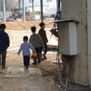 샘뜰목장 네이버블로그