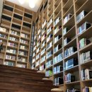 보은교육도서관 이미지