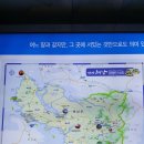 녹우조경 | 해남의 추억과 고산 윤선도 유적지(유물 전시관,녹우당,은행나무,해송,고산사당,충헌각,어초은 사당과...