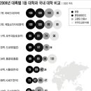 분야별 국내대학순위및 세계순위(복사해온글):서울 연세 고려 서강 이화순 이미지
