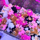 메가오락실 | 수원 영통 놀거리 메가 오락실 게임 놀거리